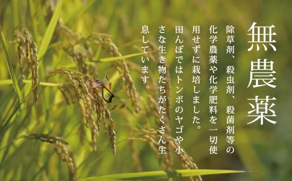 【定期便／令和8年 新米】関智晴がつくる最高級 南魚沼産コシヒカリ 金丸 20kg(5kg×4個)×全6回　栽培期間中 農薬化学肥料不使用 | コシヒカリ