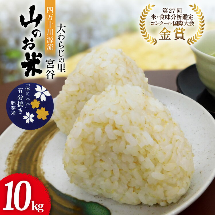 【ふるさと納税】 大わらじの里 宮谷 山のお米 五分搗き胚芽米 10kg [宮谷営農組合瑞穂ファーム 高知県 津野町 26aq0022] 五分搗き 五分づき 胚芽米 食物繊維