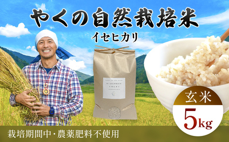 令和8年産先行予約 やくの自然栽培米 イセヒカリ 玄米 5kg ゆたか（ゆたか自然農園）