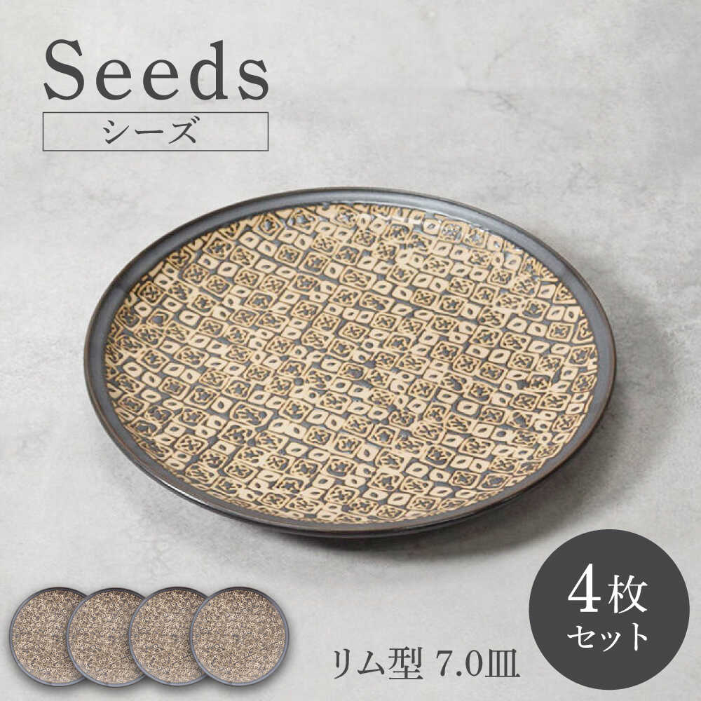 【ふるさと納税】【美濃焼】シーズ seeds リム型 7.0皿 4枚セット【カネ定製陶】　うつわ プレート 大皿[MEI109]