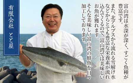 訳あり 塩ぶり  [A-024012] 切り身 天然ブリ 雑煮 おせち 下味冷凍 長期保存 おかず お弁当 1人暮らし 岩塩 塩焼き ギフト お祝い 出世魚 滑川市 富山県 とと屋