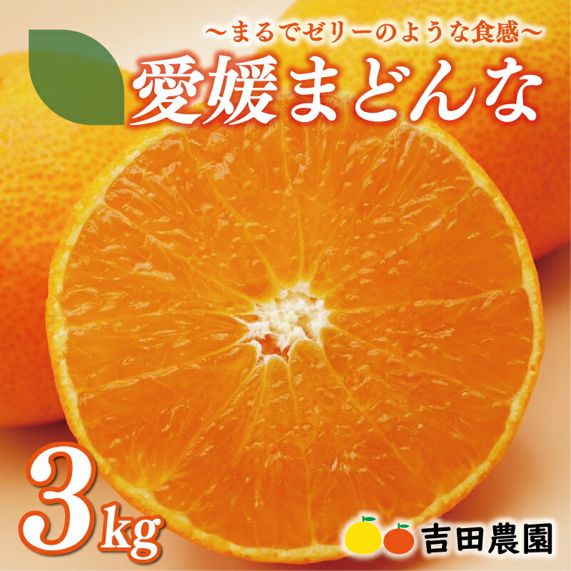 【ふるさと納税】 数量限定 先行予約 愛媛 まどんな 3kg みかん 18000円 愛果28号 紅まどんな 同品種 あいか 高級 人気 ブランド 柑橘 果物 フルーツ 期間限定 産地直送 国産 農家直送 特産品 ギフト お歳暮 mikan 蜜柑 ミカン マドンナ 甘い ゼリー 吉田農園 愛南町 愛媛県