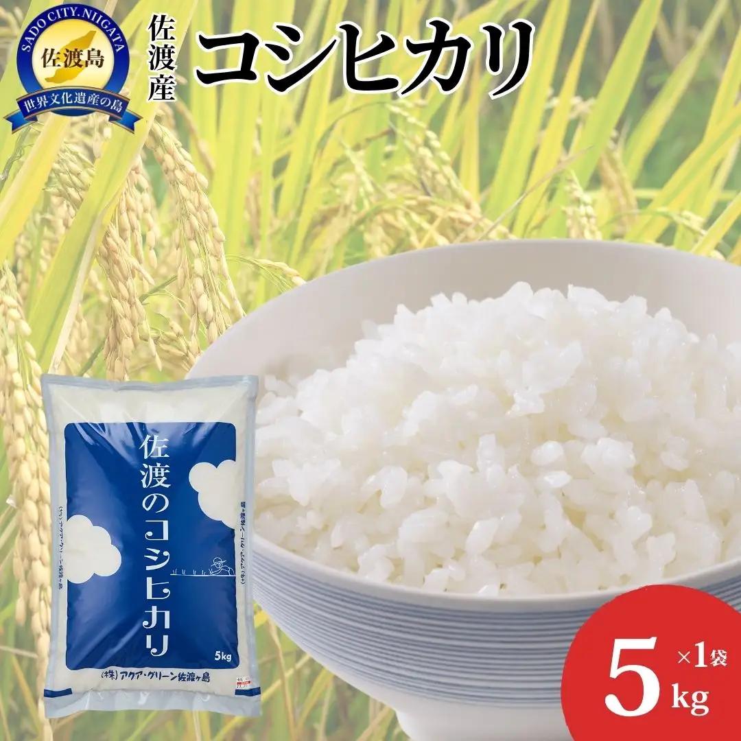 コシヒカリ 精米 5kg | 新潟県 佐渡市 コシヒカリ