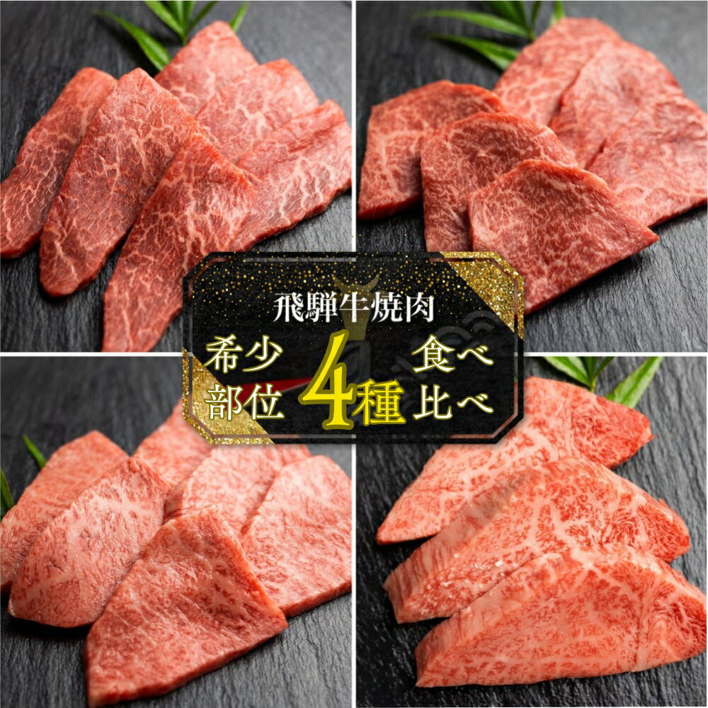 【ふるさと納税】 飛騨牛 5等級 希少部位 焼肉4種 食べ比べセット 計1.2kg ( ヒレ / ランプ / イチボ / 心芯 / 各300g) 4種 焼肉用 古里精肉店 A5 a5 牛肉 肉 国産 BBQ ブランド牛 お取り寄せグルメ ギフト お楽しみ 100000円 10万円［Q2850］