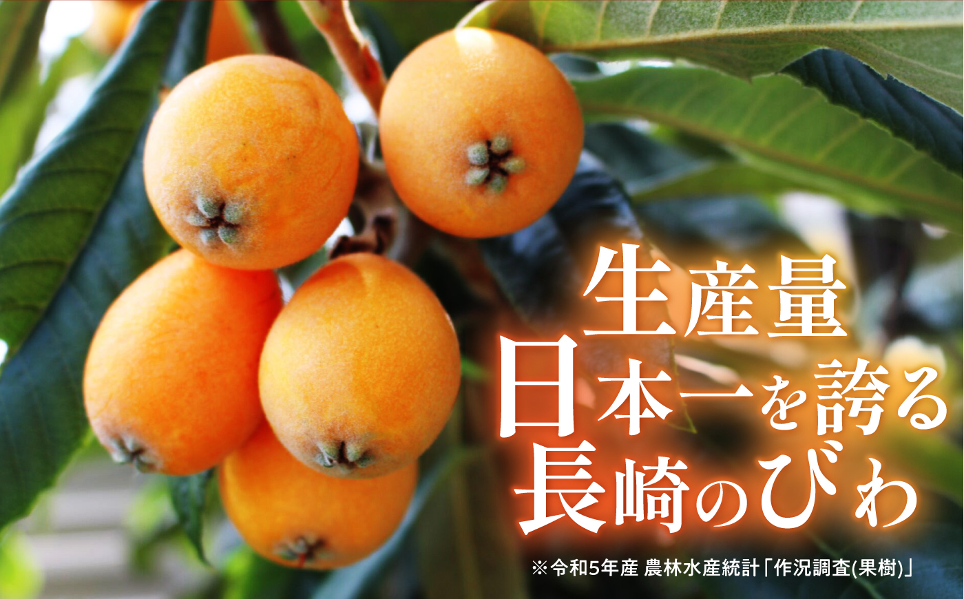 長崎びわゼリー 6個入 / びわ ビワ 枇杷 ビワゼリー びわゼリー 枇杷ゼリー ゼリー 国産 果物 果実 / 諫早市 / 有限会社あじさい [AHAH010]