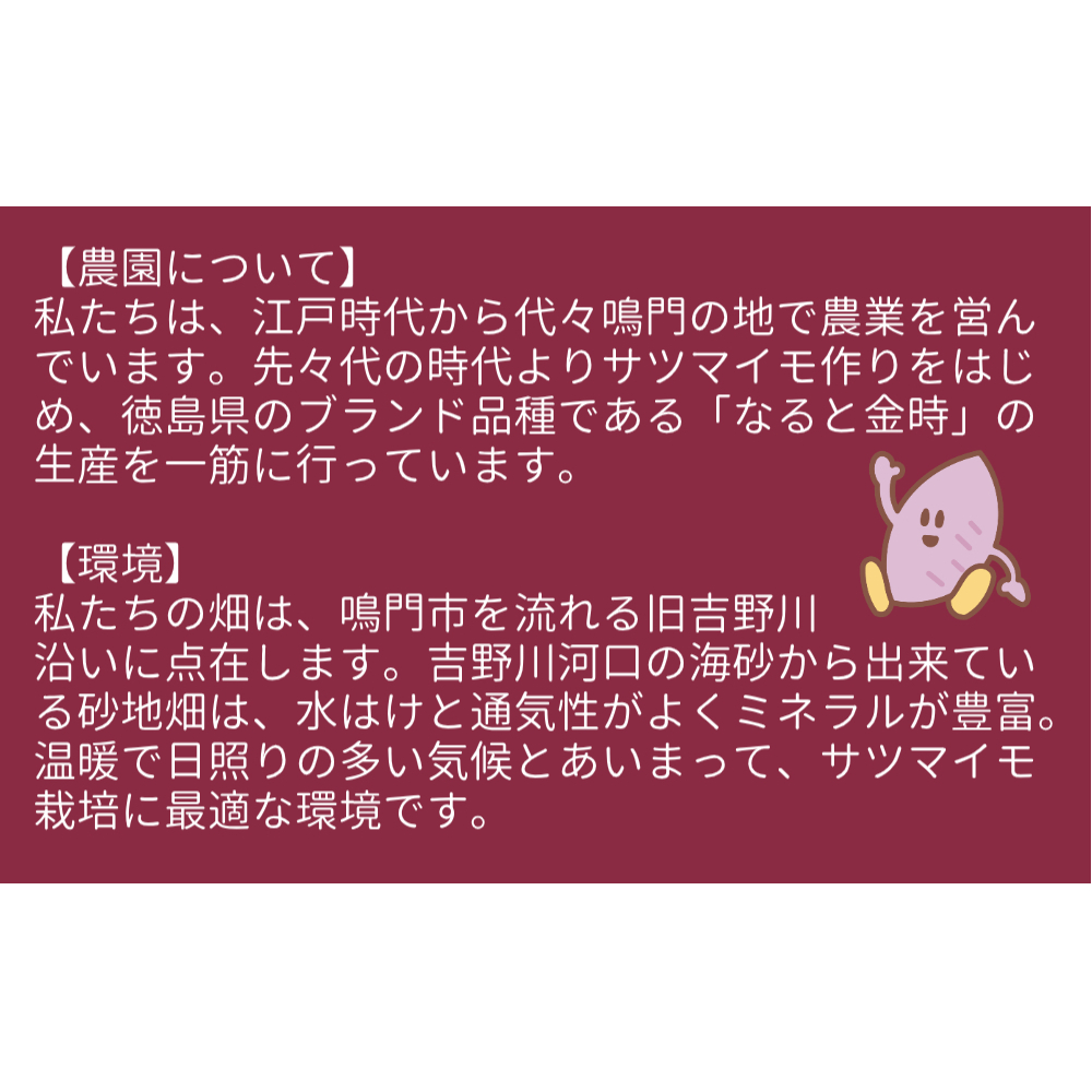 【木元農園】八代目の なると金時 約3kg 【 予約受付中・2024年11月頃より順次発送 】 | 鳴門金時 甘い ホクホク 熟成 産地直送 スイーツ おやつ 焼きいも 天ぷら 干し芋 スイートポテト