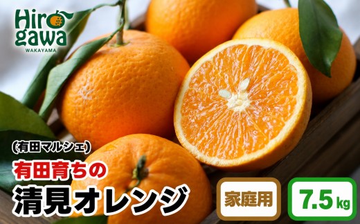 
                  【産地直送】 有田 育ちの ご家庭用 完熟 清見 オレンジ 7.5kg+200g(補償分)  / みかん 甘い オレンジ フルーツ 果物 有田 和歌山 ※2027年2月下旬～5月上旬に順次発送 ※北海道・沖縄・離島への配送不可 【ard011-c-7d5B】
                