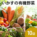 【ふるさと納税】いかすの有機野菜10袋　【 有機 野菜 詰め合わせ 詰め合わせセット セット 】