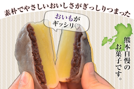 むさし本舗の いきなり団子 10個入り (黒粒4個、黒こし3個、白あん3個)  お菓子 スイーツ デザート 和菓子 おもてなし 贈答  《60日以内に出荷予定(土日祝除く)》