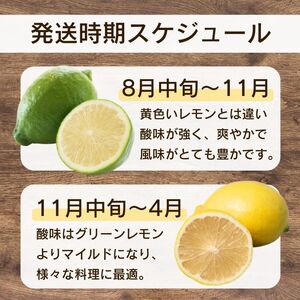 訳あり レモン（イエローレモン） 1kg りのか 減農薬 レモン イエローレモン 農家直送 こだわり らんきんぐ 柑橘 かんきつ 檸檬 果物 くだもの 果実 国産 フルーツ 有名 愛媛  ブランド 愛