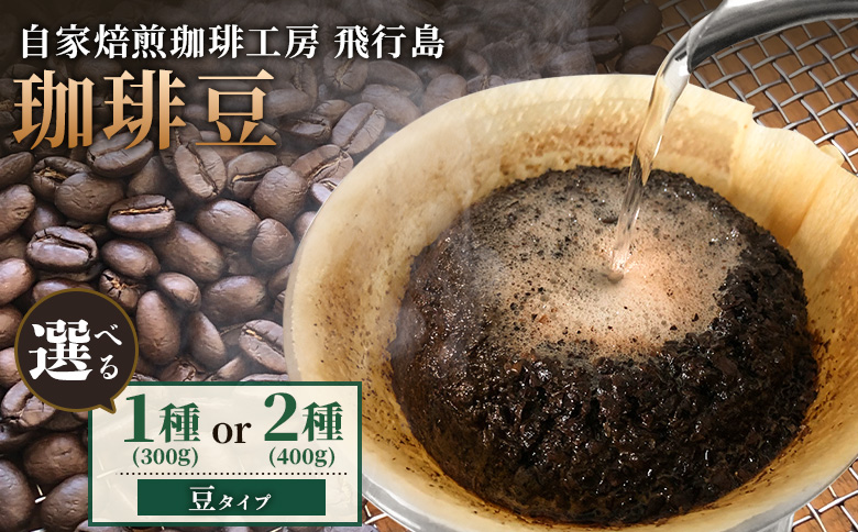 【自家焙煎珈琲工房 飛行島】珈琲豆 2種セット 計400g （200g×各1袋）【4700101】  （200g×各1袋）計400g