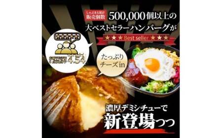 チーズイン　ハンバーグシチュー　濃厚デミグラスソース　5食セット_mk146-169