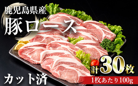 鹿児島県産豚ロース 100g カット(計3kg・100g×30枚) 豚肉 ロース カット【おきどき】A982