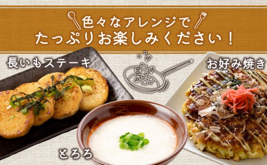 ＜先行予約＞長いも 10kg