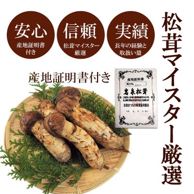【2024年9月中旬～10月中旬発送予定】松茸マイスター厳選!旬の岩泉産松茸　250g(前後)【配送不可地域：離島】