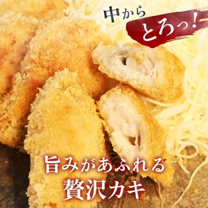 【定期便6カ月】大粒カキフライ 20粒 【冷凍 牡蠣 かき 大粒 冷凍カキフライ 魚介類 海鮮 惣菜 おかず ギフト 簡単調理 冷凍配送 送料無料 神奈川県 大磯町】 