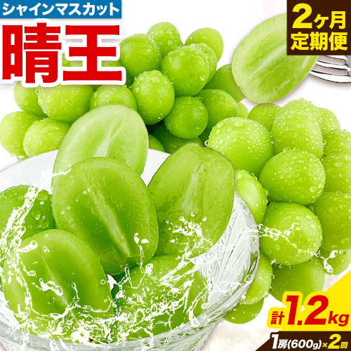 ぶどう 2ヶ月 定期便 [2026年先行予約] シャインマスカット 晴王 1房 約600g 岡山県産《9月上旬-10月末頃出荷(土日祝除く)》 ハレノフルーツ マスカット 送料無料 岡山県 浅口市 フルーツ 果物 贈り物 ギフト 国産 岡山県産【配送不可地域あり】