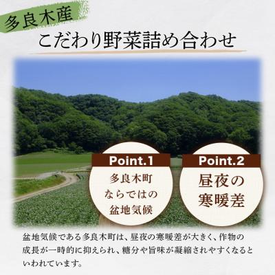 ふるさと納税 多良木町 【毎月定期便】熊本の大地の恵み 旬のこだわり野菜詰め合わせセット 8〜12品(3〜4名様向け)全6回 |  | 02