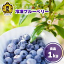 【ふるさと納税】 冷凍 ブルーベリー 良品 1kg ( サイズMIX ) 旬 県産ブルーベリー 国産ブルーベリー お中元 お歳暮 お取り寄せ 母の日 父の日 グルメ ギフト 故郷 秋田 あきた 鹿角市 鹿角 送料無料 【としま農園】