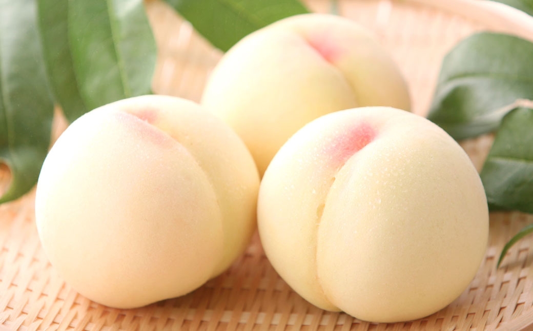 岡山県産白桃約1.5kg（4〜6玉）