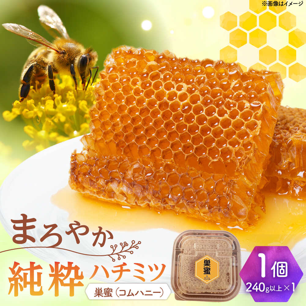 【ふるさと納税】純粋ハチミツ 巣蜜（コムハニー） 瑞浪市 / honey shop Bee farm asano 蜂蜜 はちみつ[AZBT017]