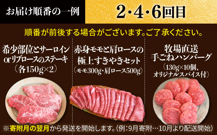 【牧場直送】【6回定期便】佐賀牛 極上 1頭まるごと定期便 シルバーコース【有限会社佐賀セントラル牧場】牛肉 [IAH034]