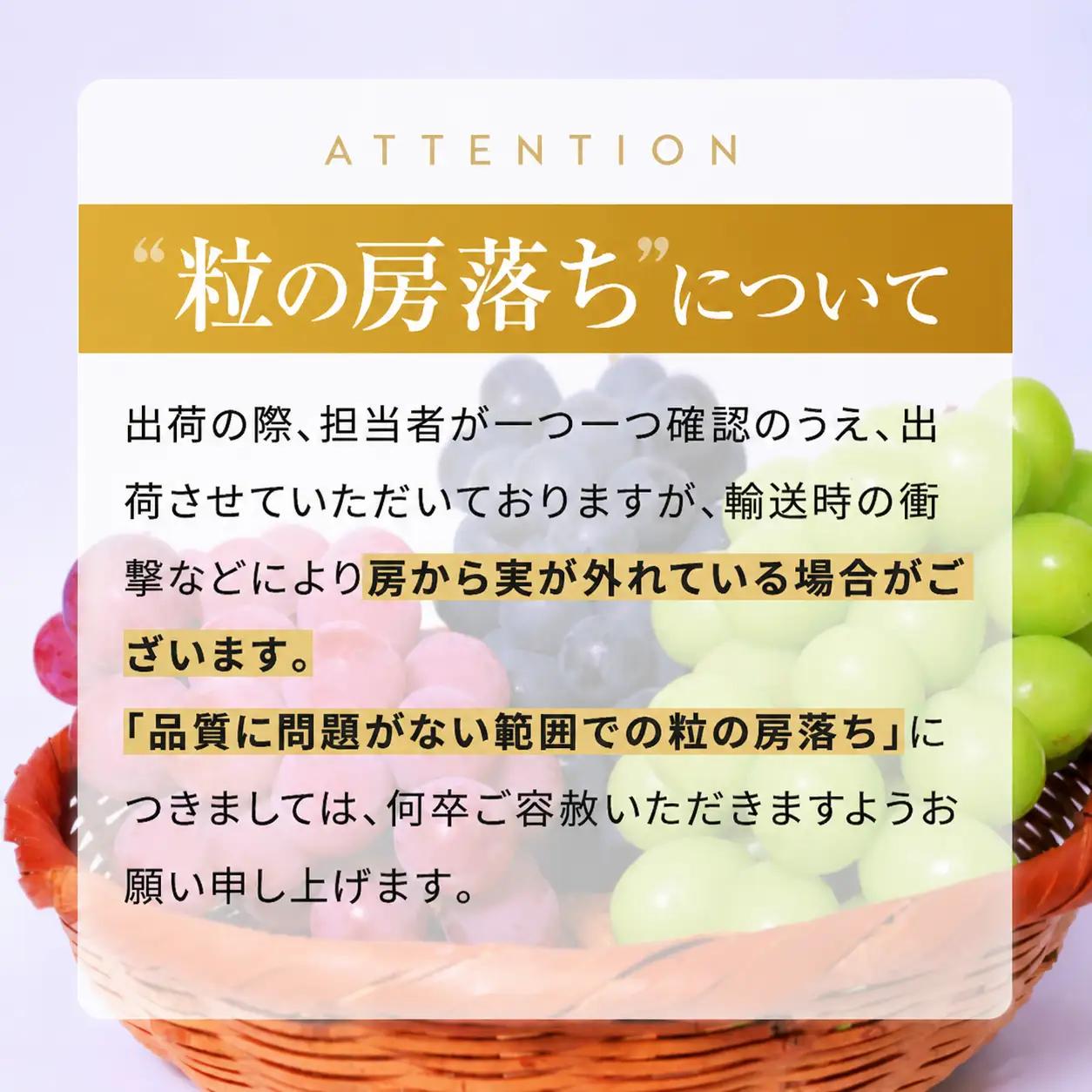 【先行予約】【数量限定】宮内果樹観光園のニュー巨峰 約1kg ぶどう 2～3房 | フルーツ くだもの 巨峰 ニュー巨峰 大分県 中津市