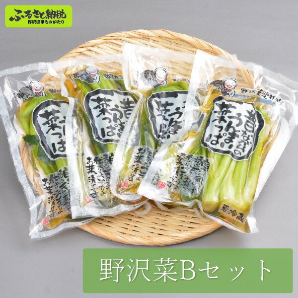 【ふるさと納税】野沢菜Bセット | A-5b 漬物 野沢菜 野沢菜漬け バラ詰め 詰め合わせ 佃煮 つくだ煮 キムチ長野県 野沢温泉村 信州 ごはんのお供 寄附額 10000 10000円 1万円 以下 以内