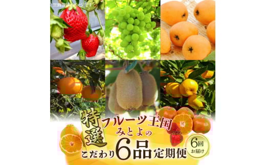 M02-0210_【配送不可地域：北海道・沖縄県・離島】フルーツ王国 みとよ 特選 こだわり 6品 定期便 定期 旬の時期 旬 果物 フルーツ 果実 旬 デザート 食べごろ みかん いちご びわ マスカット キウイ キウイフルーツ お取り寄せ 香川県 三豊市