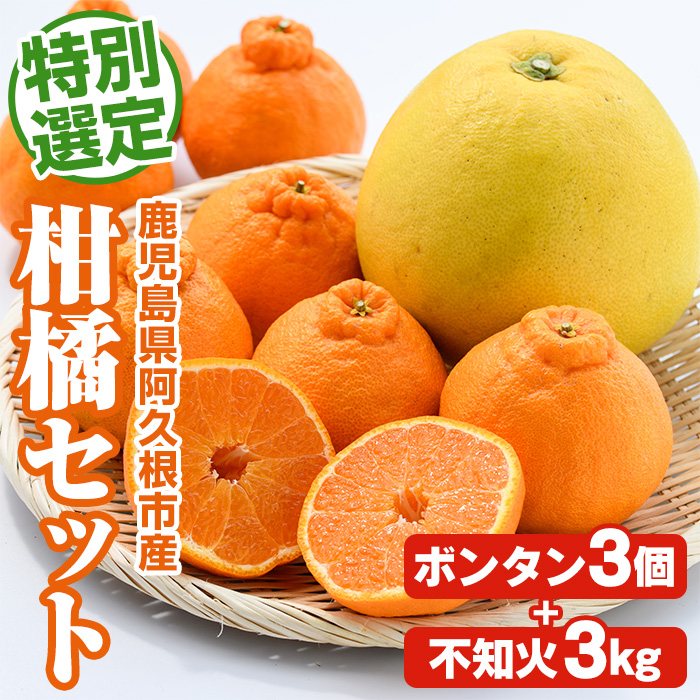 ＜先行予約受付中！2027年1月以降順次発送予定＞鹿児島県阿久根市産！特別選定 柑橘セット(ボンタン3個・不知火3kg) 国産 果物 フルーツ かんきつ ノーワックス【松永青果】akn053-26