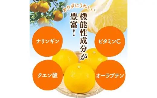 厳選はっさく10kg+250g（傷み補償分）/ 晩柑 柑橘 フルーツ 新鮮 苦味 コク 農家直送 ジューシー みかん 和歌山 果汁   八朔みかん ハッサク 密柑 くだもの ※2027年1月〜4月下旬