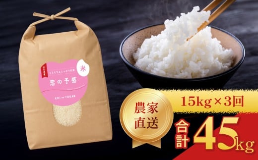 【定期便3ヶ月】 令和7年産  恋の予感 精米 15kg 計45kg