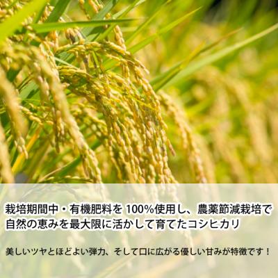 ふるさと納税 三原市 コシヒカリ精米3kg(1kg×3パック)[191-001] |  | 01