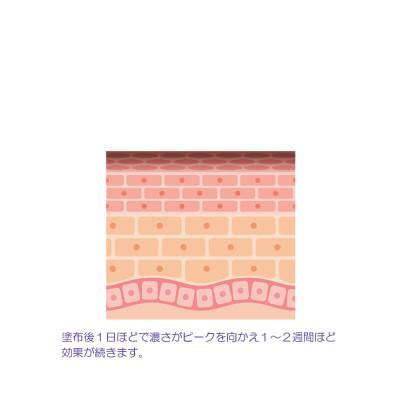 ふるさと納税 戸田市 【3本セット】セルフタンニングローション コンテストブラック (200ml×3) |  | 03