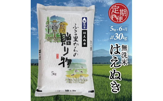 【令和8年産 新米予約】 ≪6ヶ月定期便≫ 無洗米 はえぬき 5kg×6回 計30kg 山形県産 毎月下旬頃お届け 産地直送 米 お米 精米 白米 庄内米 ブランド米 東北 酒田市 小松農産 KN　SH0065