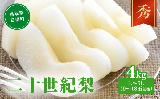 【令和9年産先行予約】二十世紀梨 秀 4kg L～5L (9～18玉前後) 梨 なし フルーツ 鳥取 高間商店