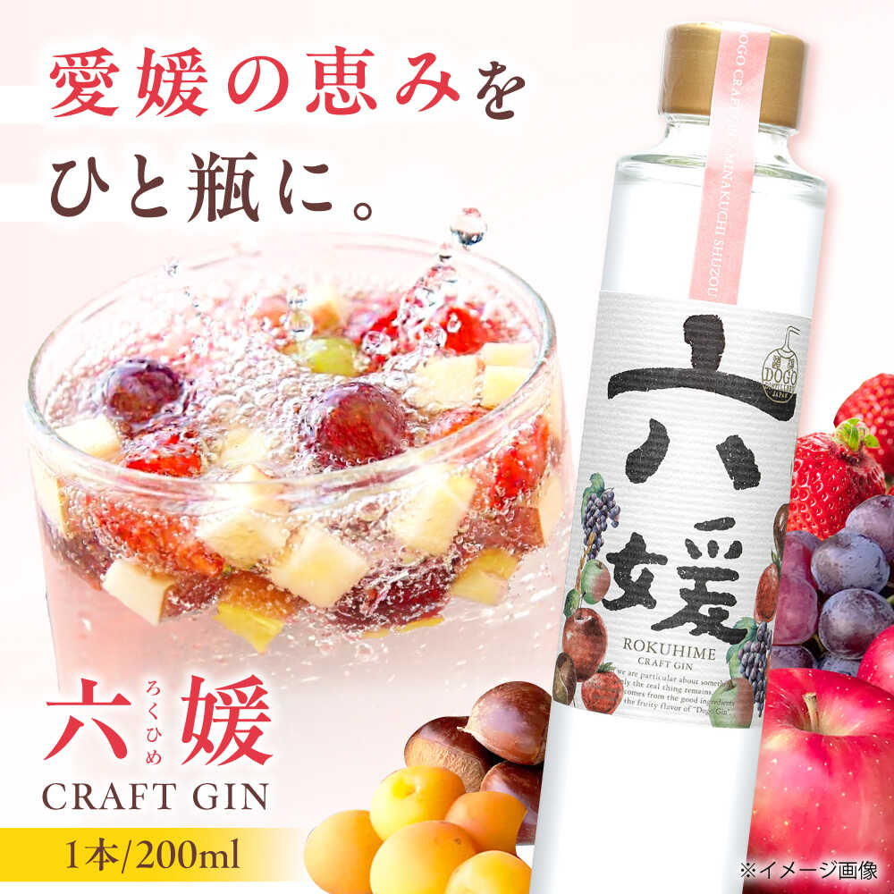 水口酒造 道後ジン「六媛」200ml　クラフトジン スピリッツ 愛媛　【お酒】　お届け：20日以内に発送いたします