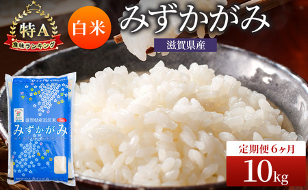 お米 みずかがみ 10kg 精米 定期6回 お米