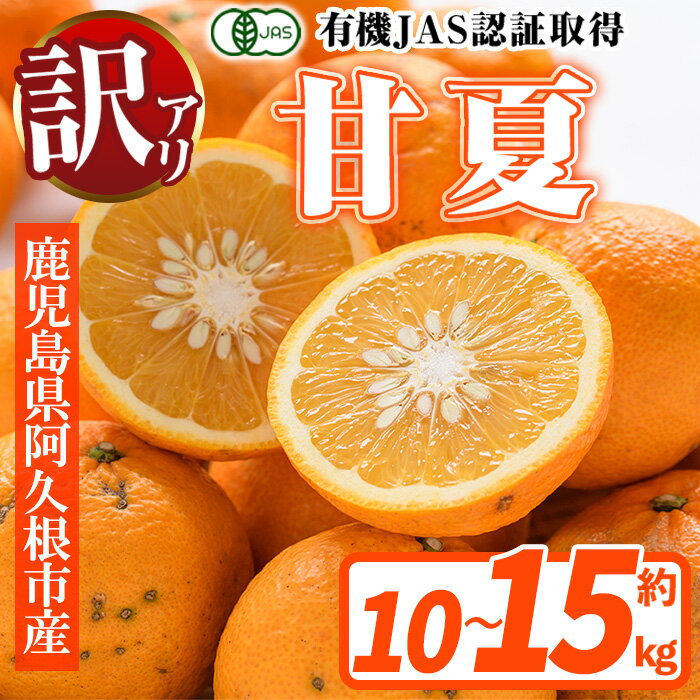 【ふるさと納税】＜容量が選べる＞訳あり！有機JAS 甘夏(約10〜15kg) 国産 果実 果物 フルーツ 柑橘 デザート 訳アリ 期間限定 有機栽培【中村農場】