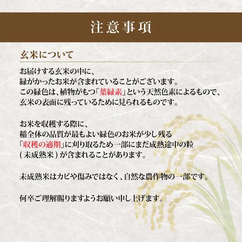 【 新米予約 】 令和8年産 コシヒカリ 5kg 滋賀県 日野町 産地直送 ふるさと納税 玄米 DG008_R8