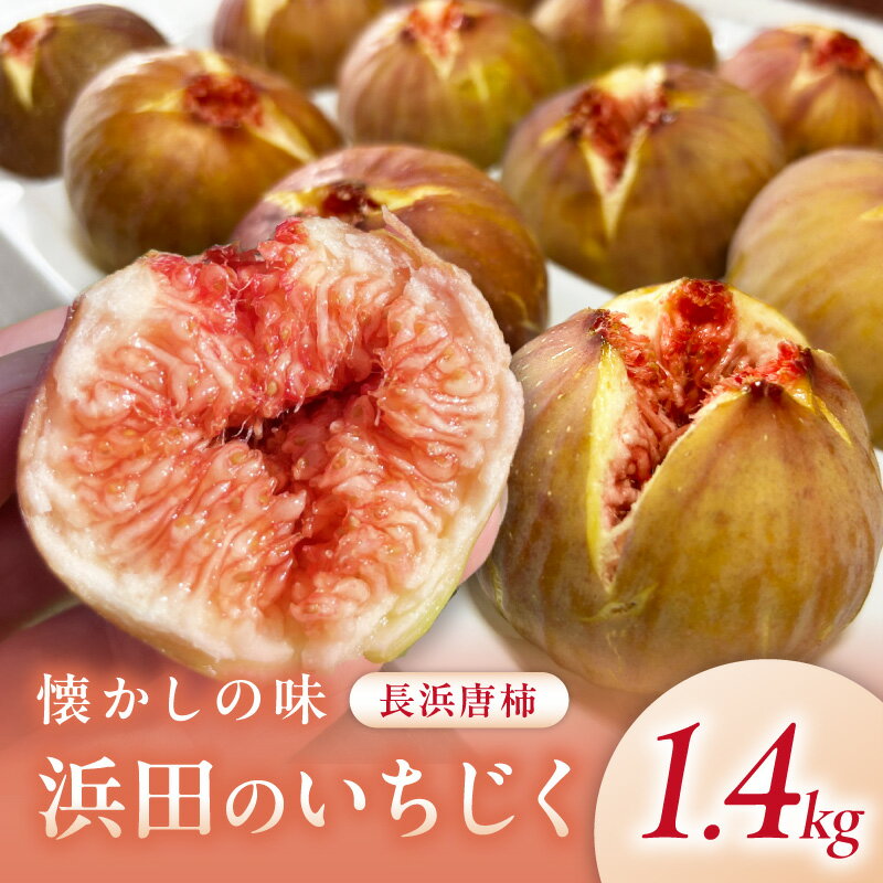 【ふるさと納税】【先行予約】浜田のいちじく懐かしの味！長浜唐柿（蓬莱柿）生食用 8月下旬から発送 【約1.4kg 約2kg】 選べる 内容量 ふるさと納税 果物 いちじく フルーツ