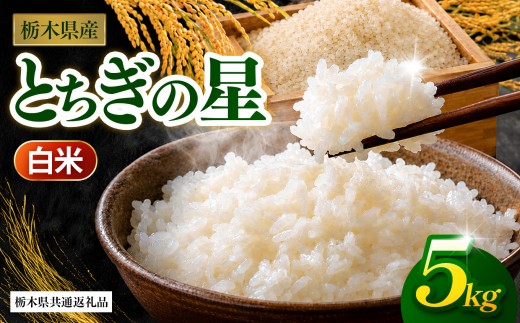 【先行予約】【栃木県共通返礼品】とちぎの星（白米）約 5kg ｜とちぎの星 米 白米 おいしい お米 こめ おこめ 白米 精米 国産 ごはん ご飯 白飯 米 おこめ 白米 精米ゴハン ランキング 人気  ふるさと 納税 栃木県 那珂川町 送料無料