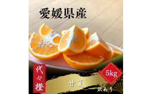 ＜ほろ苦くて甘酸っぱい＞＜訳あり＞甘夏 5kg＜C83-17＞【1549107】