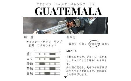 【豆】グアテマラ ゴールデンパレンシア リオ ウォッシュド ( 中深煎り ) 400g （200g×2） コーヒー 珈琲