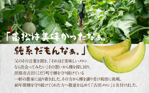 先行予約 渥美半島石井農園・純系 古田メロン1玉 【2025年7月発送】 石井農園 純系 箱詰め メロン フルーツ 果物 お取り寄せ 渥美半島 産地直送 幻 希少品 田原市 送料無料 10,000円