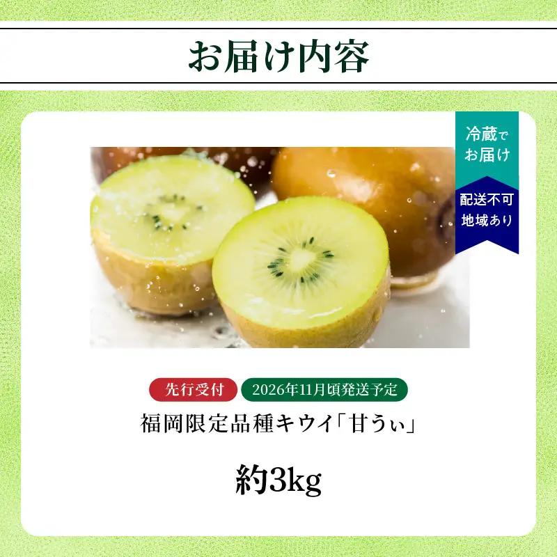 【先行受付：2026年11月頃発送開始】福岡限定品種キウイ「甘うぃ」約3kg<配送不可地域：北海道・沖縄・離島> 先行受付 キウイ キウイフルーツ フルーツ 果物 くだもの 甘い 高糖度 希少 オリジ
