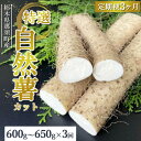 【ふるさと納税】【定期便3ヵ月】那須町産 自然薯（カット）600g～650g ｜とろろ 贈り物 お土産 グルメ 美味しい おいしい 食べ物 那須 栃木県 那須町〔P-213〕