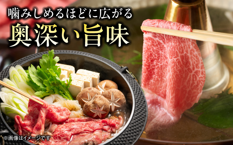 宮崎牛 モモ or ウデ 赤身しゃぶすき用500g 牛肉 肉 宮崎県産 黒毛和牛 国産牛 国産 すき焼き しゃぶしゃぶ しゃぶすき すきしゃぶ アウトドア キャンプ 料理 おかず