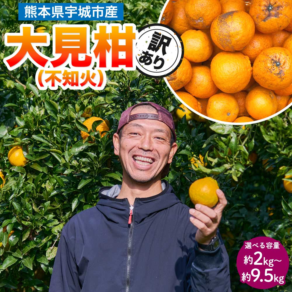 【ふるさと納税】【2026年2月上旬〜2026年2月下旬頃発送予定】熊本大見柑 不知火 訳あり【選べる内容量】約2kg (6〜13玉) 約4.5kg (13〜24玉) 約9.5kg (25〜50玉) しらぬい デコポンと同品種 みかん 蜜柑 柑橘 フルーツ 果物 果実 国産 九州 熊本県 宇城市 株式会社la Nui.