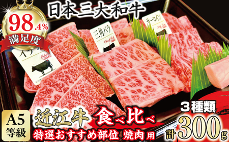 近江牛 焼肉 おすすめ部位 3種盛り 300g 【FO29W】【 近江牛 】 牛肉焼肉 A5